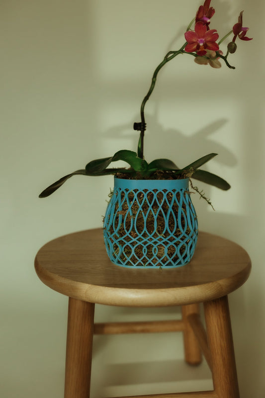 Bloom Belly Lattice Pot