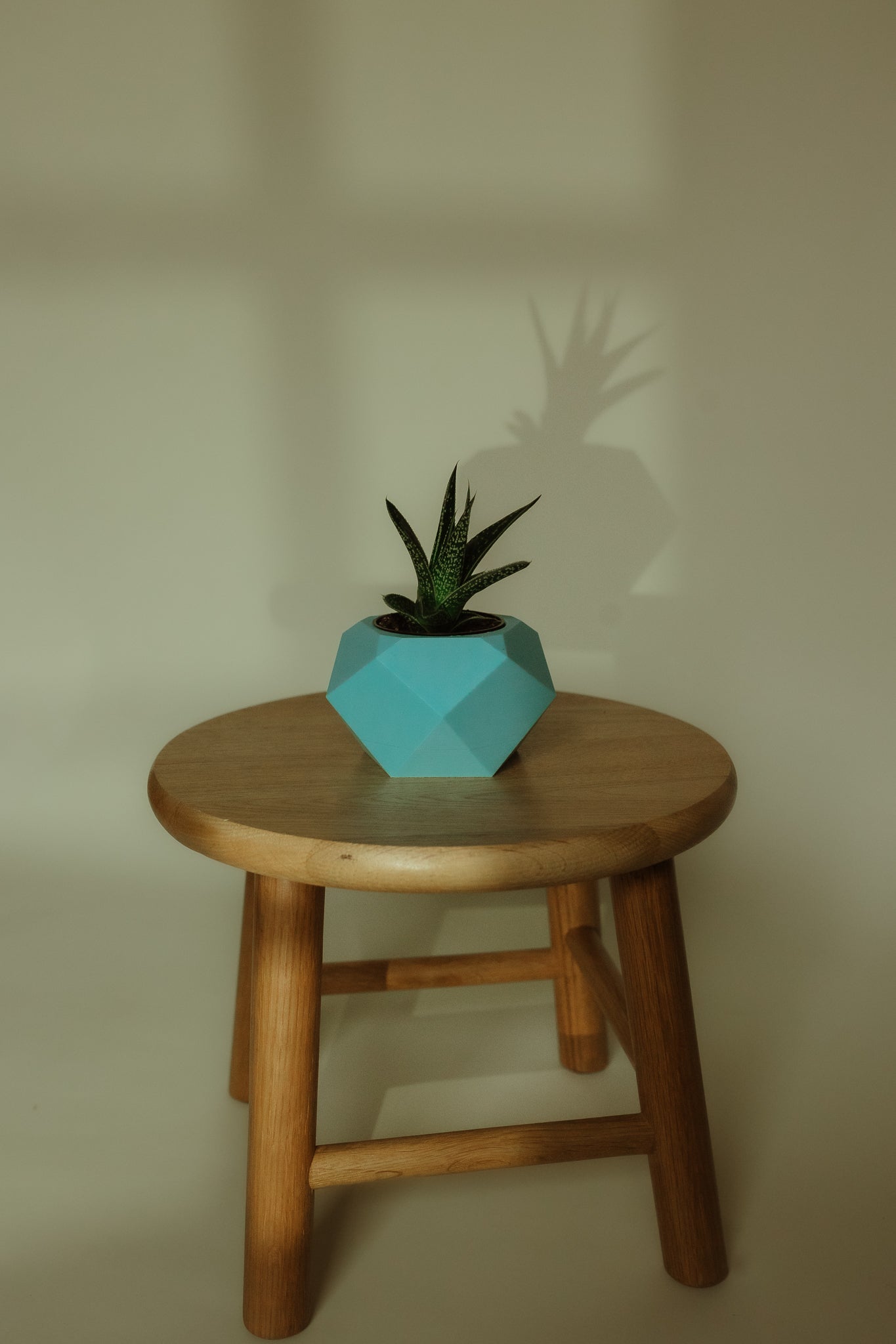 Low - Poly Geode Planter with Concealed Drainage