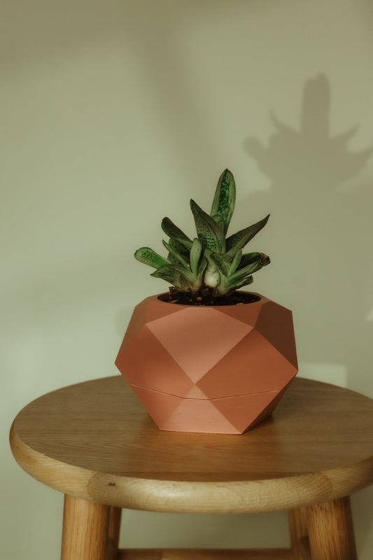 Low - Poly Geode Planter with Concealed Drainage
