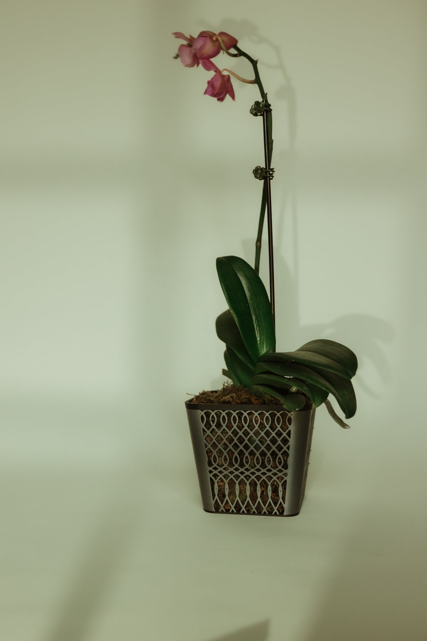 Square Lattice Airflow Orchid Pot – Modern Root - Breathing Design