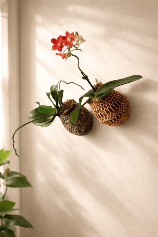 Vertical Orchid Wall Planter